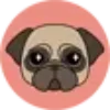 Pet Groomer