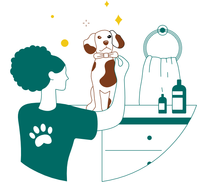 About-paws-image