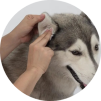 Ear Cleaning