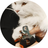 Nail Clipping and Grinding