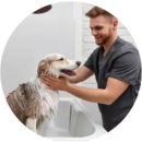 Groomer bathing a dog at Pawz grooming salon in Kitchener in a clean and hygienic environment