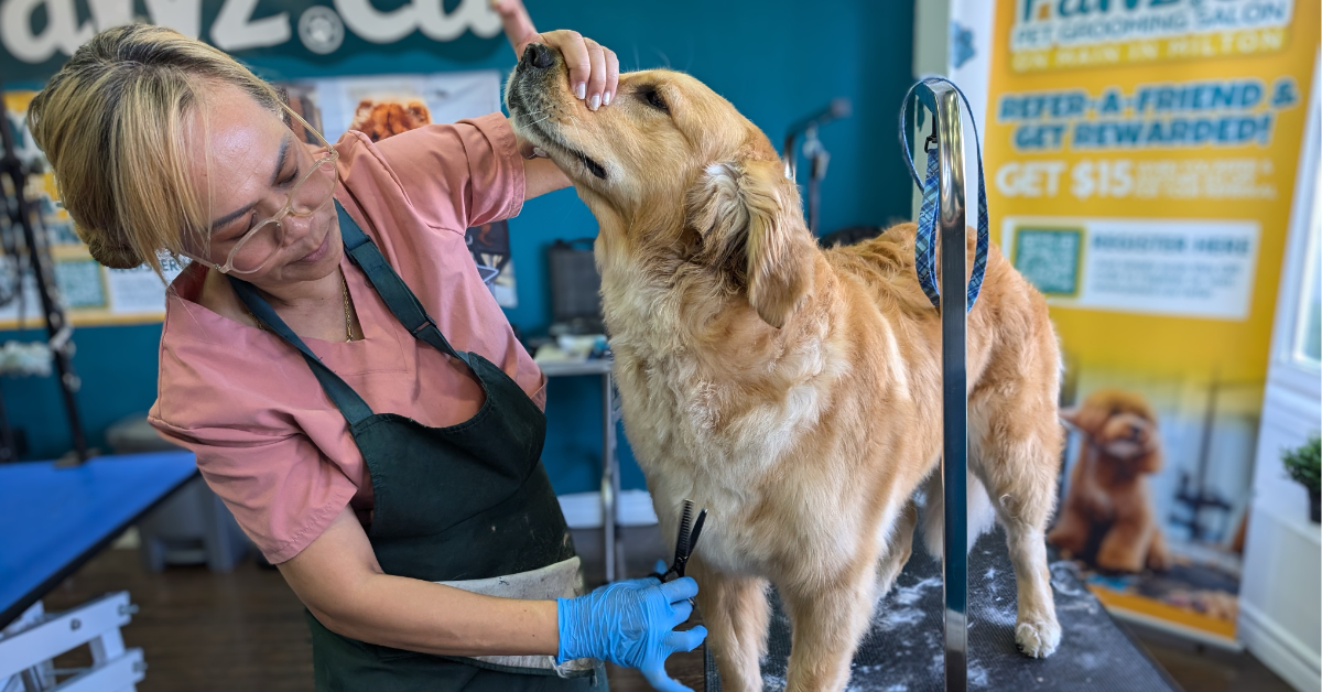 first-time-dog-grooming-appointment-what-to-expect-banner-image-new