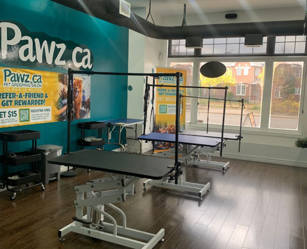 Francise-new-banner
