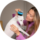 Groomer trimming dog nails during a nail care service at Pawz pet grooming salon in Kitchener