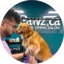 Groomer trimming dog nails at Pawz pet grooming salon in Kitchener