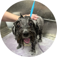 Bathing