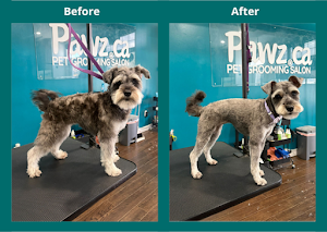 Pawz Pet Grooming Milton place picture