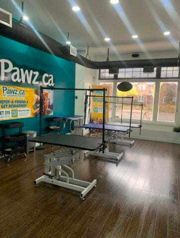 A relaxed Doberman lying down calmly on a professional grooming table during a stress-free dog grooming session.