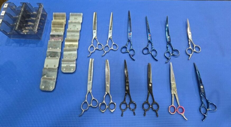 Sanitized professional pet grooming tools arranged neatly on a clean counter, showcasing salon safety standards.